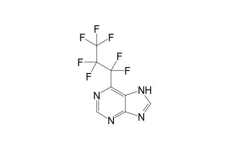 6-(Heptafluoropropyl)purine