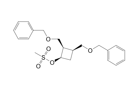 cis-2,cis-3-Bis(benzyloxymethyl)-1-mesyloxycyclobutane