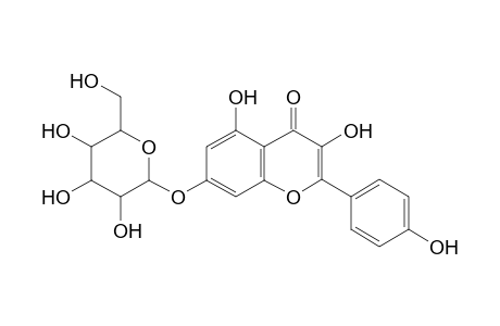 Kaempferol-7-O-hexoside