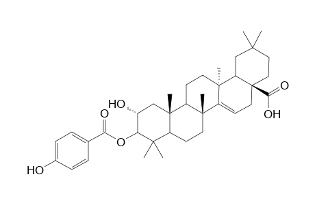 2.alpha.-Hydroxy-aleuritolic Acid - 3-(p-Hydroxybenzoate)