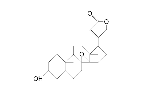 5.beta.-Adynerin