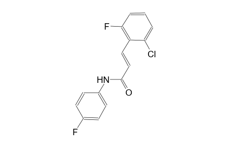 (2E)-3-(2-chloro-6-fluorophenyl)-N-(4-fluorophenyl)-2-propenamide