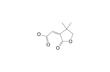 (Z)-4,4-DIMETHYL-2-OXOTETRAHYDROFURAN-3-YLIDENEACETIC-ACID