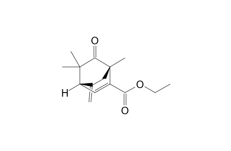 (1S*,4S*)-1,3,3-Trimethyl-5-methylene-7-ethoxycarbonylbicyclo[2.2.2]oct-7-ene-2-one