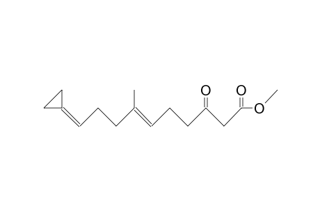 10-Cyclopropylidene-7-methyl-3-oxo-trans-6-decenoic acid, methyl ester