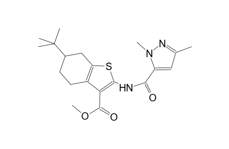 methyl 6-tert-butyl-2-{[(1,3-dimethyl-1H-pyrazol-5-yl)carbonyl]amino}-4,5,6,7-tetrahydro-1-benzothiophene-3-carboxylate