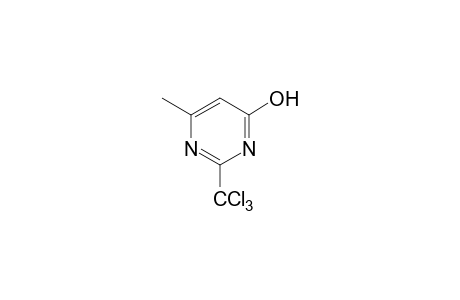6-methyl-2-(trichloromethyl)-4-pyrimidino
