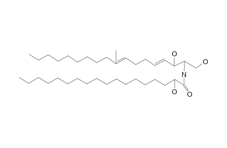 LACTARIAMIDE-B;(4E,8E)-N-2'-HYDROXYOCTADECANOYL-2-AMINO-9-METHYL-4,8-OCTADECADIENE-1,3-DIOL