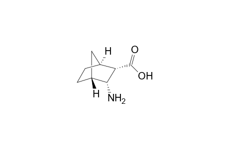 endo-3-aminobicyclo[2.2.1]heptane-2-carboxylic acid