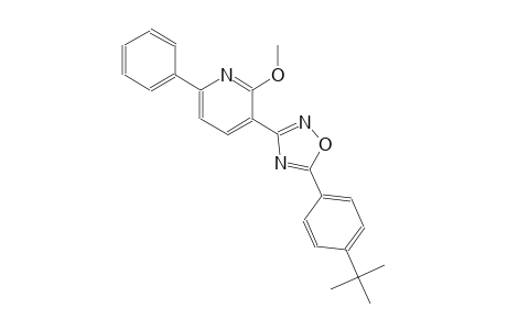 3-[5-(4-tert-butylphenyl)-1,2,4-oxadiazol-3-yl]-6-phenyl-2-pyridinyl methyl ether