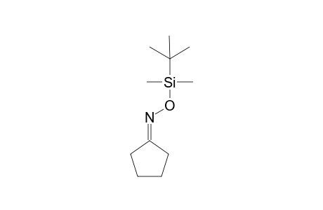 Cyclopentanone -(E)- {O-(t-butyl)dimethylsilyl]-oxime
