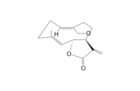 SOULANGIANOLIDE A