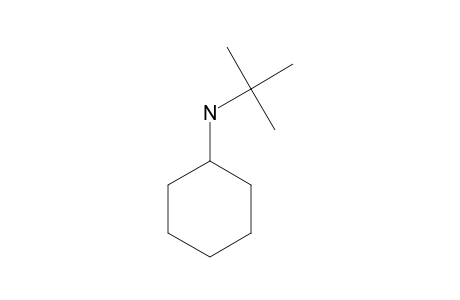 N-tert-butylcyclohexylamine