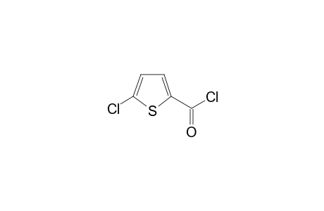 5-Chloro-thiophene-2-carbonyl chloride