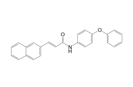 (E)-3-(2-naphthalenyl)-N-(4-phenoxyphenyl)-2-propenamide