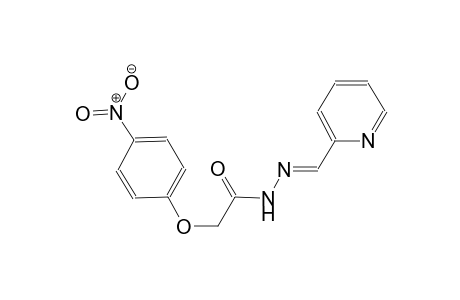 2-(4-nitrophenoxy)-N'-[(E)-2-pyridinylmethylidene]acetohydrazide
