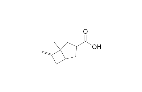 Bicyclo[3.2.0]heptane-6-carboxylic acid, 1-methyl-2-methylene-, [1S-(1.alpha.,5.alpha.,6.beta.)]-