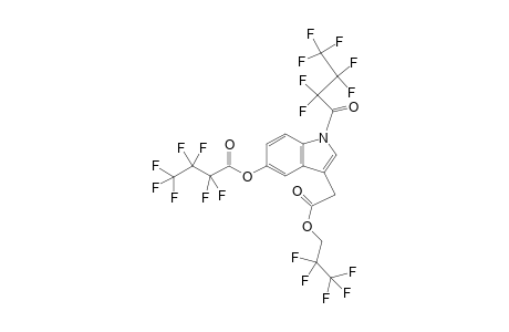 5-HIAA-PFnP-di-HFB