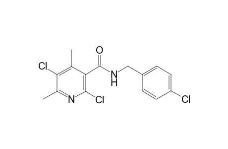 2,5-bis(chloranyl)-N-[(4-chlorophenyl)methyl]-4,6-dimethyl-pyridine-3-carboxamide