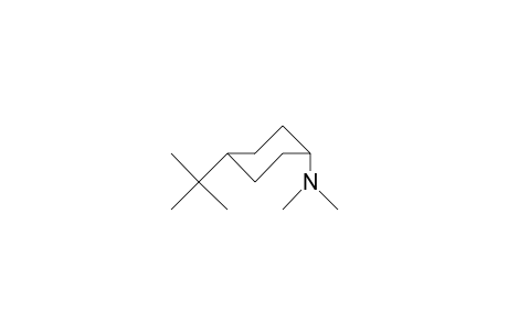 cis-4-tert-Butyl-dimethylamino-cyclohexane