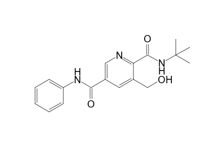 2-N-tert-butyl-3-(hydroxymethyl)-5-N-phenylpyridine-2,5-dicarboxamide
