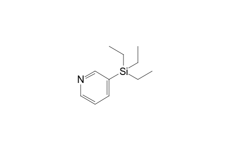 3-(triethylsilyl)pyridine