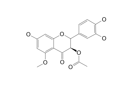5-O-METHYLDIHYDROQUECITIN-3-ACETATE