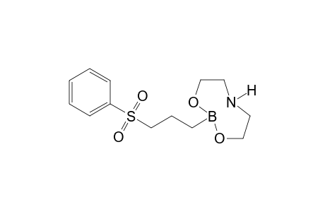 3-(Phenylsulfonyl)propylboronic acid diethanolamine ester