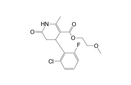 2-Methoxyethyl 4-(2-chloro-6-fluorophenyl)-2-methyl-6-oxo-1,4,5,6-tetrahydro-3-pyridinecarboxylate