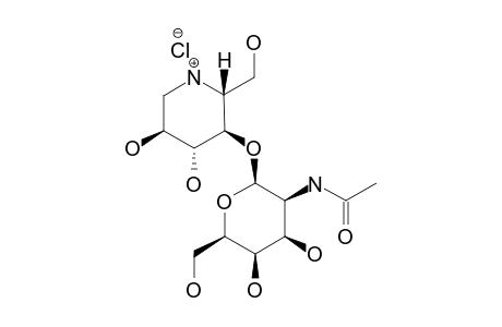 4-O-(2-ACETAMIDO-2-DEOXY-BETA-D-TALOPYRANOSYL)-1,5-DIDEOXY-1,5-IMINO-D-GLUCITOL-HYDROCHLORIDE