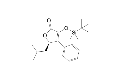 (2R)-4-[tert-butyl(dimethyl)silyl]oxy-2-(2-methylpropyl)-3-phenyl-2H-furan-5-one