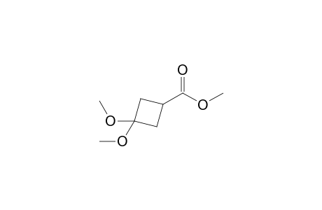 Methyl 3,3-Dimethoxycyclobutane-1-carboxylate