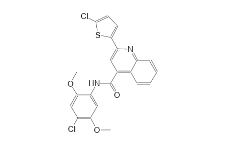 N-(4-chloro-2,5-dimethoxyphenyl)-2-(5-chloro-2-thienyl)-4-quinolinecarboxamide