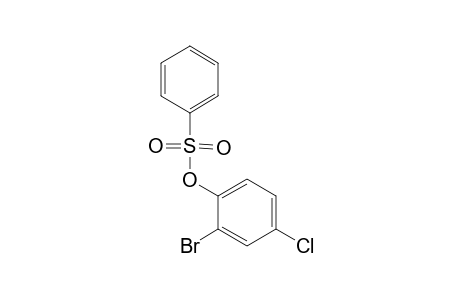 BENZENESULFONIC ACID, 2-BROMO-4-CHLOROPHENYL ESTER