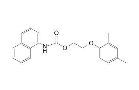 1-NAPHTHALENECARBAMIC ACID, 2-(2,4-XYLYLOXY)ETHYL ESTER
