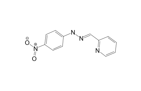 2-Pyridinecarboxaldehyde 4-nitrophenylhydrazone