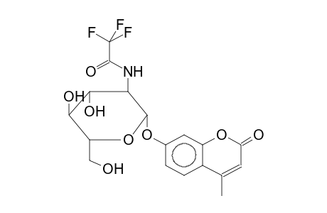 4-METHYLUMBELLIFERYL 2-TRIFLUOROACETAMIDO-2-DEOXY-BETA-D-GLUCOPYRANOSIDE