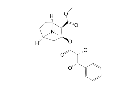 (2R,3S)-DIHYDROXY-3-PHENYLPROPIONYL-ECGONINE-METHYLESTER