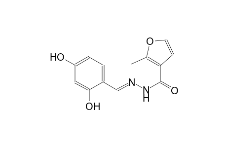 N'-[(E)-(2,4-dihydroxyphenyl)methylidene]-2-methyl-3-furohydrazide