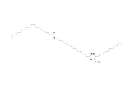 Cer 14:1;2O/15:0;O(FA 19:1)