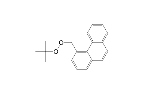 Peroxide, 1,1-dimethylethyl 4-phenanthrenylmethyl