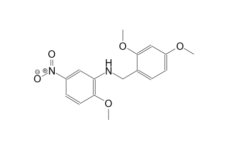 N-(2,4-dimethoxybenzyl)-2-methoxy-5-nitroaniline