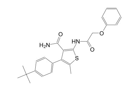 4-(4-tert-butylphenyl)-5-methyl-2-[(phenoxyacetyl)amino]-3-thiophenecarboxamide