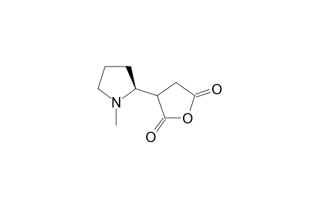 (2' S)-3-(1'-Methylpyrrolidin-2'-yl)dihydrofuran-2,5-dione