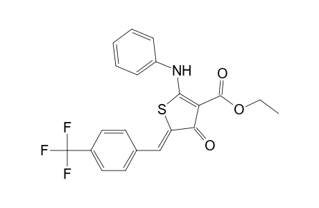 (5Z)-2-anilino-4-keto-5-[4-(trifluoromethyl)benzylidene]thiophene-3-carboxylic acid ethyl ester