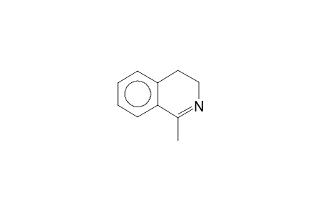 1-Methyl-3,4-dihydro-isoquinoline