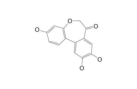 CAESALPINIAPHENOL_C;(AS)-3,9,10-TRIHYDROXY-7-HYDRO-6-H-DIBENZ-[B.D]-OXOCIN-7-ONE