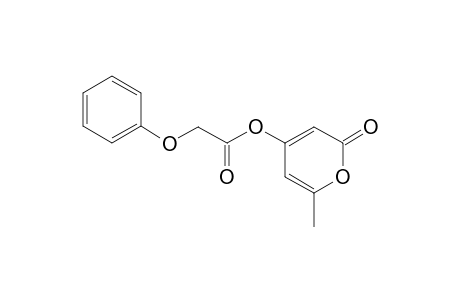 Phenoxyacetate 3,5-dihydroxy-.delta.-lactone sorbic acid