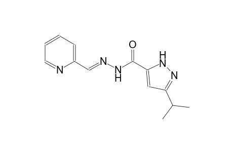1H-pyrazole-5-carboxylic acid, 3-(1-methylethyl)-, 2-[(E)-2-pyridinylmethylidene]hydrazide