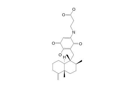 SMENOSPONGINE_C